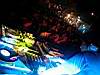 DSCN6239.JPG